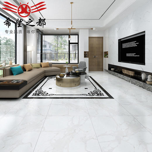 地砖灰白色之柔光都大理石客厅800x800瓷砖地板砖通体砖希望 商品图2