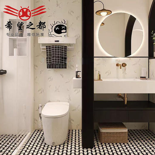 地砖厕所燕子微黑白花法式砖瓷砖水泥墙复古300x900mm卫生间砖 商品图2