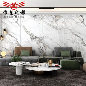 1200大连纹别墅岩板现代2700通体*工厂佛上背景墙瓷砖6规格*大板