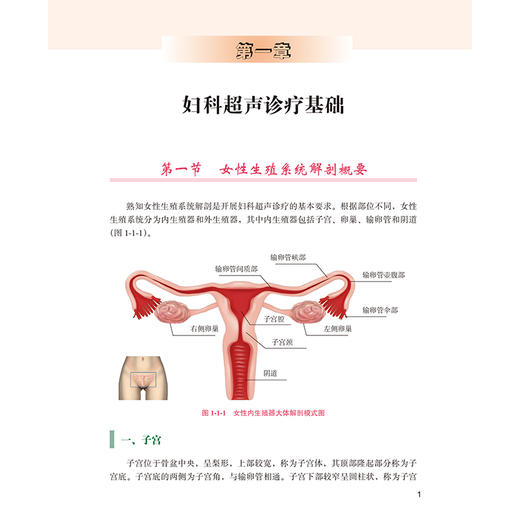 正版 妇科超声诊疗思维 主编陈智毅 女科超声诊疗基础 女性生殖系统解剖概要 子宫体局灶性病变 北京大学医学出版社9787565931444 商品图4