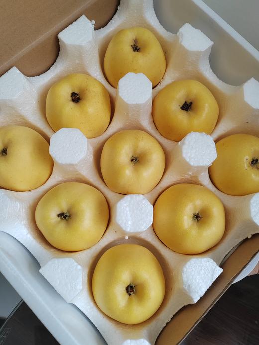 维纳斯黄金苹果 商品图4