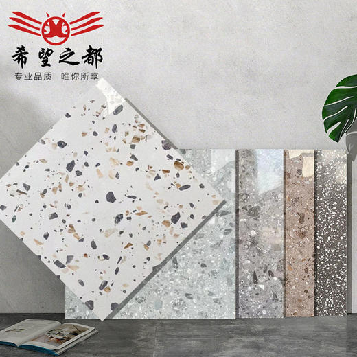 水磨石商铺800x800彩色法式耐磨亮光网红客厅瓷砖地板砖防滑通体 商品图0