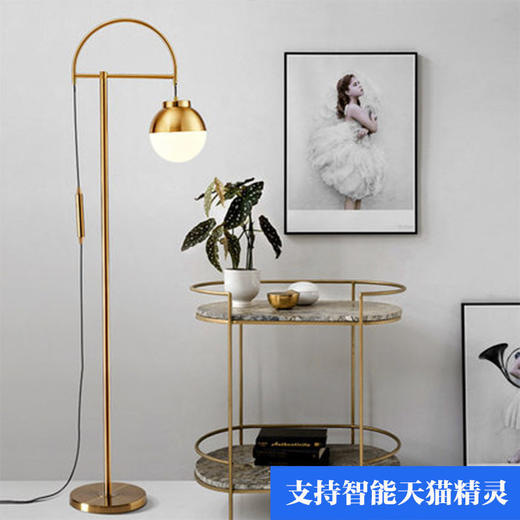 设计师圆球客厅落地灯后现代卧室玻璃金色落地灯灯床头样板间 商品图0