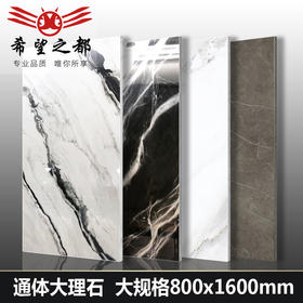 通体1600*800瓷砖客厅白之大都规格地砖大理石大板希望 灰色瓷砖