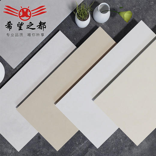 素色厨卫哑光侘寂风瓷砖水泥墙砖阳台通体微奶油300x600地砖 商品图0
