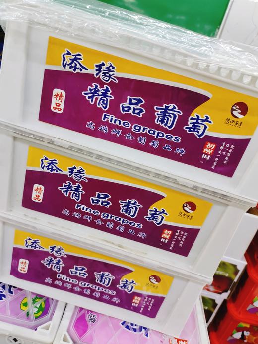 红珍珠葡萄一箱 商品图0