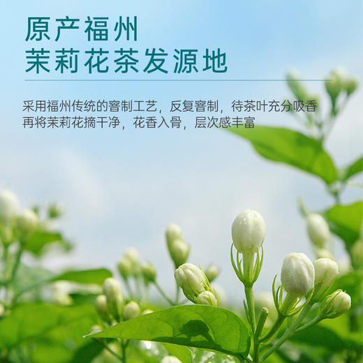 【送试泡】华祥苑-150g茉上花开茉莉花茶 商品图1