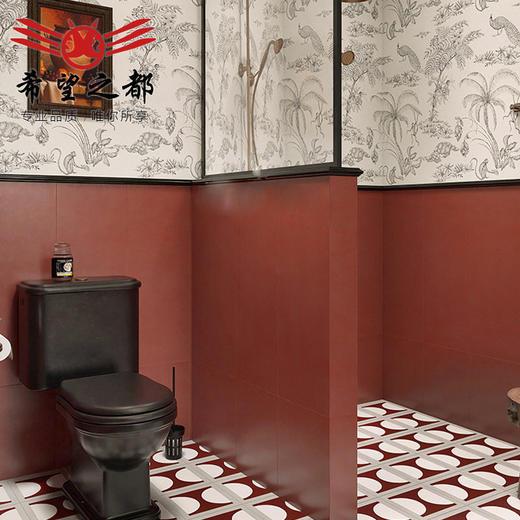 地面厕所复古小瓷砖花砖300x800卫生间网红墙浴室美式砖柔光厨房 商品图3