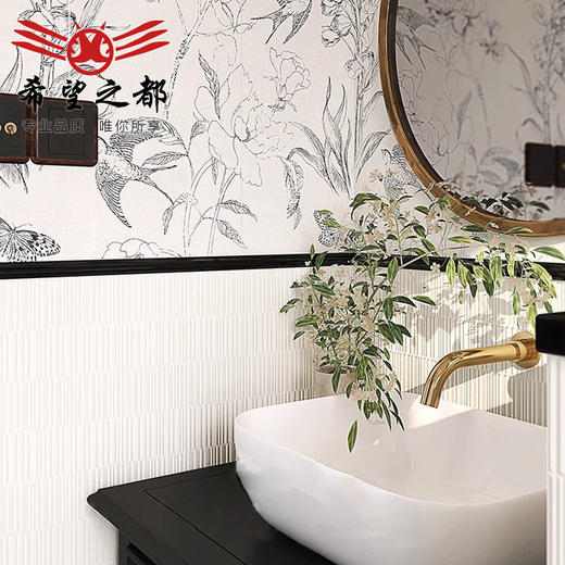 燕子黑白300x900砖水泥墙复古法式地砖微浴室厕所卫生间瓷砖花砖 商品图2