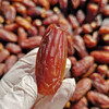 沙特【沙漠椰枣】外皮紧实富有弹性，内里软糯香甜，丰富的维生素、矿物质以及膳食纤维！ 商品缩略图0