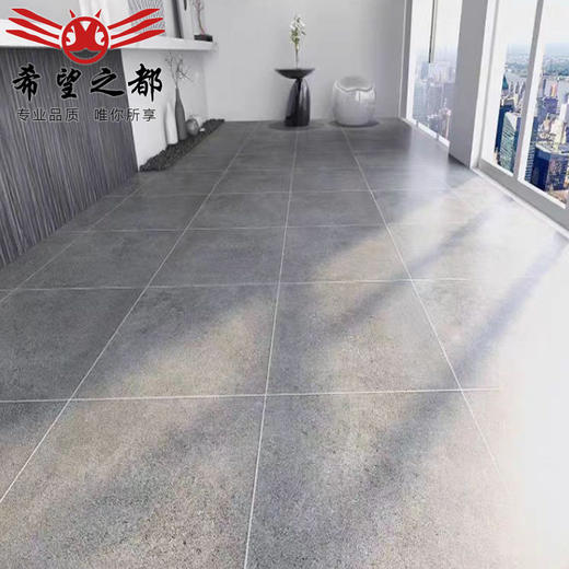 奶茶600x600防滑地砖纯厨卫卧室灰色仿古地砖店黑白瓷砖哑光客厅 商品图3