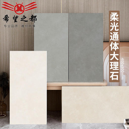 地砖佛山x800400浴室厨房北欧墙砖卫生间通体中板柔光瓷砖风防污 商品图0