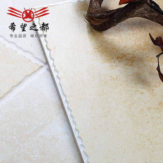 爬墙厨房卫生间田园地300x300仿古砖地砖墙砖阳台希望都之 商品图3