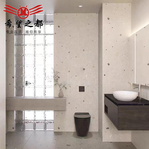 餐厅颗粒大地砖卫生间瓷砖工装600x1200mm水磨石服装店地砖 商品图0