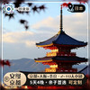 【日本】京都+大阪+奈良 5天4晚 沉浸在关西三古都的高雅氛围之中（2-10人小团·一家一团） 商品缩略图0