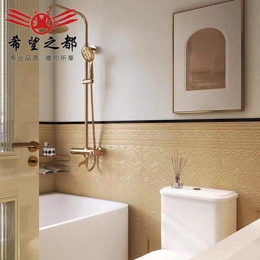 花砖300x1200墙砖法式卫生间姜黄复古瓷砖阳台海基地板砖厨房布 商品图3