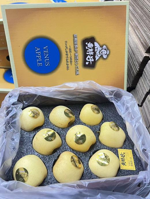 黄胖子(9粒装） 商品图0