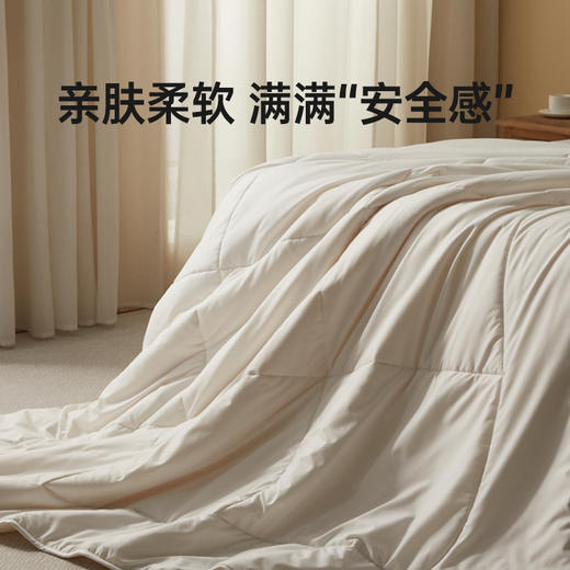 【棉疆溯源】洁丽雅洁丽雅澳毛被芯蓬松被抗菌春秋保暖柔软透气 商品图4