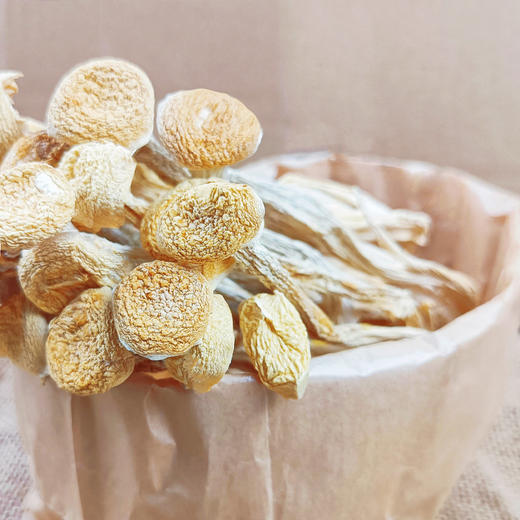 （SYJ）古田海鲜菇 100克 商品图3