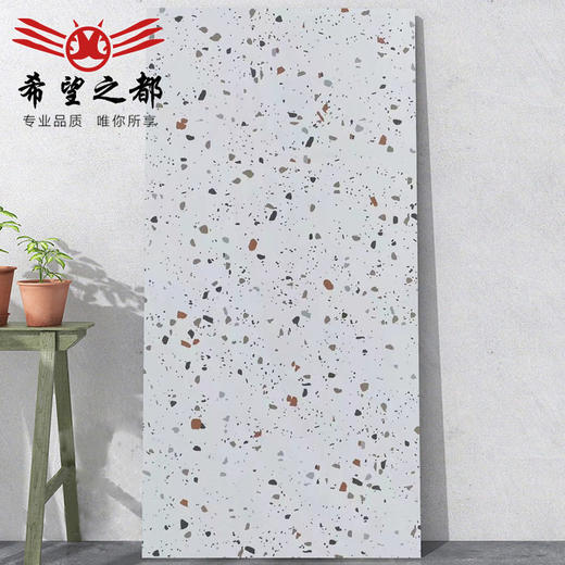 墙砖卫生间瓷砖客厅600x1200大板通体水磨石地砖商铺哑光仿古砖 商品图1