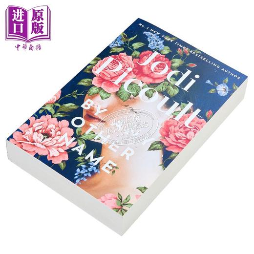 【中商原版】以任何其他名字 By Any Other Name 英文原版 Jodi Picoult 现代小说 国际流行小说 爱情小说 商品图1