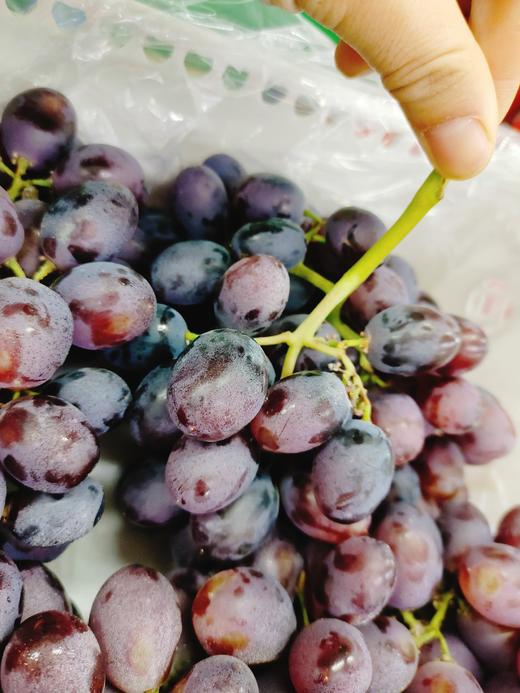 红珍珠葡萄一箱 商品图3