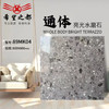 水磨石商铺800x800彩色法式耐磨亮光网红客厅瓷砖地板砖防滑通体 商品缩略图2