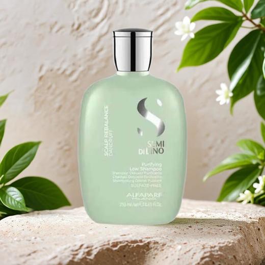 奥帕夫头皮均衡洗发乳 250ml/瓶 商品图0