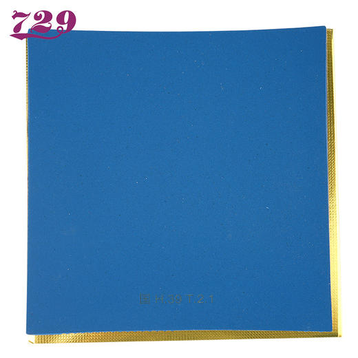 友谊729 奔腾II国套 蓝海棉套胶反胶 商品图3