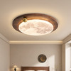 护眼复古卧室纹书房灯光谱侘寂风餐厅吸顶灯卧灯满天星胡桃木次全 商品缩略图2