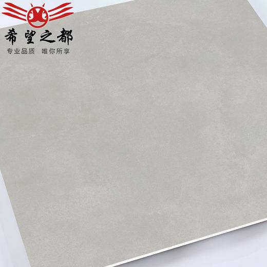 水泥网卫生间灰色阳台微餐厅木纹水泥砖红砖格子600x600仿古砖 商品图3