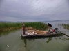 怀来官厅水库野生银鱼/公鱼/鲫鱼等等 商品缩略图1