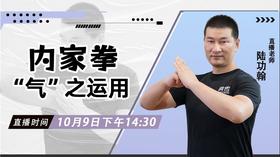 【10月9日】内家拳“气”之运用——功夫课堂