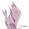 永生花材 | 桔叶粉紫 商品缩略图3