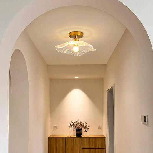 灯吸顶灯关灯复古轻奢网红过吸顶灯玄关走廊道荷叶过道灯玄网红小 商品图0