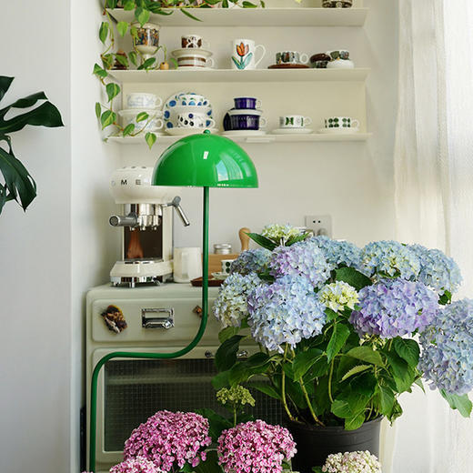 豆芽落地灯书房落地灯卧室可法式创意客厅立式调节中古绿台灯北欧 商品图3