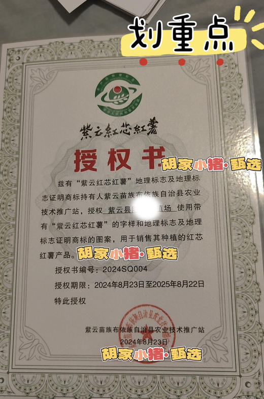 贵州·安顺·紫云·地理标识红心薯·紫薯（五斤/件全国包邮-除新疆西藏内蒙古甘肃宁夏） 商品图2