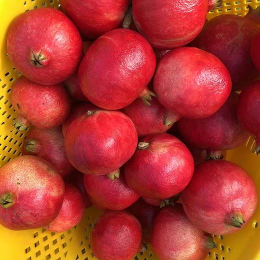 【黑珍珠酸石榴】顺丰包邮 酸甜多汁 云南大理黑珍珠酸甜石榴 现摘现发 口感酸爽 4种规格任选 商品图4