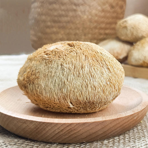 （SYJ）新货 古田猴头菇 山珍猴头 猴头菌 80克/袋 商品图2