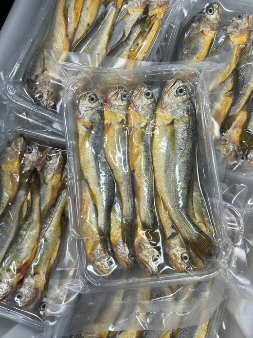 吕四本港海鲜 商品图5