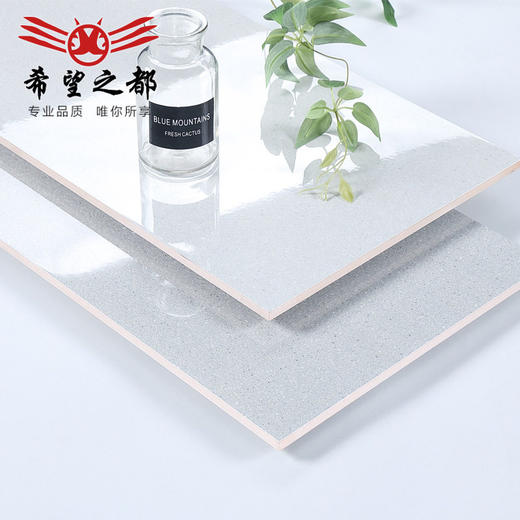 300x600 佛山卫生间厨房墙面砖瓷砖地砖地砖墙砖风格北欧工厂 商品图3