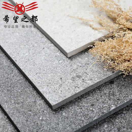 瓷砖仿古砖地砖工程客厅店800x800彩色服装奶茶防滑水磨石卫生间 商品图0