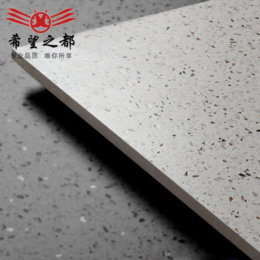 墙砖卫生间瓷砖客厅600x1200大板通体水磨石地砖商铺哑光仿古砖 商品图3