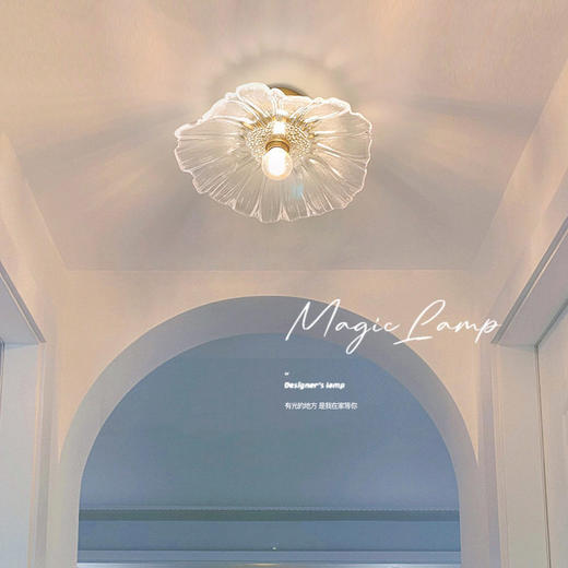 灯吸顶灯关灯复古轻奢网红过吸顶灯玄关走廊道荷叶过道灯玄网红小 商品图3