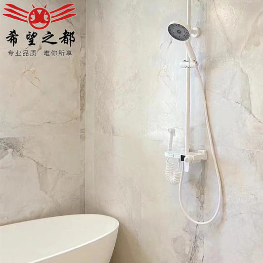 客厅墙砖大理石全瓷白色柔光厨卫600x1200岩板背景墙寒江雪地砖 商品图0