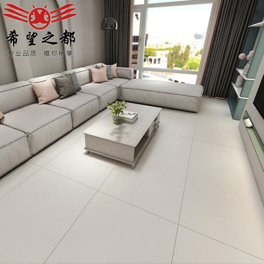 地板砖侘寂风素色砖色客厅卫生间微瓷砖大地750x1500瓷砖水泥墙 商品图3