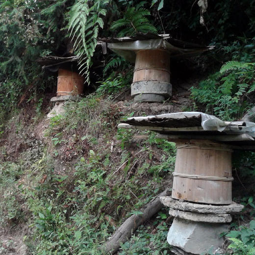 屈姑土蜂蜜礼盒500g*2 商品图2