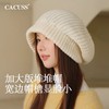 CACUSS帽子女秋冬针织贝雷堆堆帽显脸小护耳保暖毛线帽大头冷帽男ZZ240644 商品缩略图0
