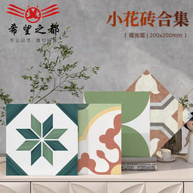 阳台小墙砖哑光瓷砖卫生间北欧厨房地砖200x200防滑花砖彩色地砖