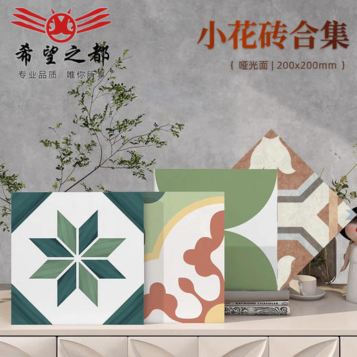 阳台小墙砖哑光瓷砖卫生间北欧厨房地砖200x200防滑花砖彩色地砖 商品图0